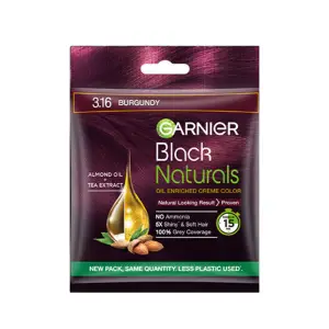 Garnier Black Natural 3.16-20ml+20gm