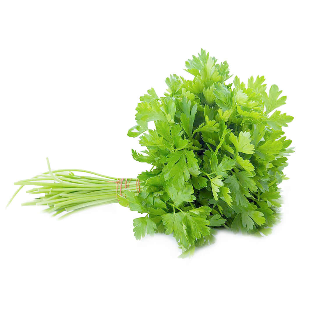 ধনিয়া পাতা (Coriader Leaves)-৫০ গ্রাম