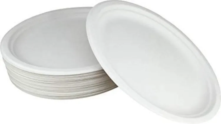 One Time Disposible Foam Plate Set