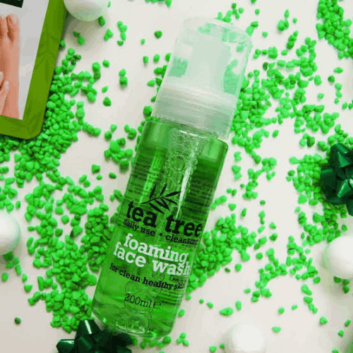 Tea Tree Daily Use Cleansing Foaming Face Wash Face Wash - (200ml)